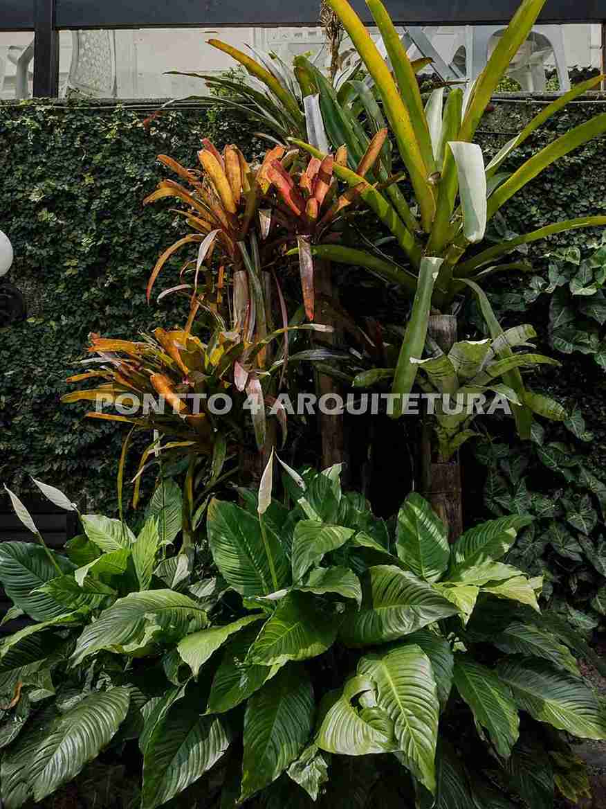 PAISAGISMO_RESIDENCIAL.jpg