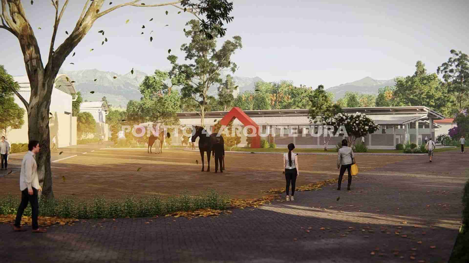 HIPICA_HARAS_BAIA_CAVALO_HIPISMO_3.jpg