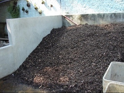 foto5.JPG